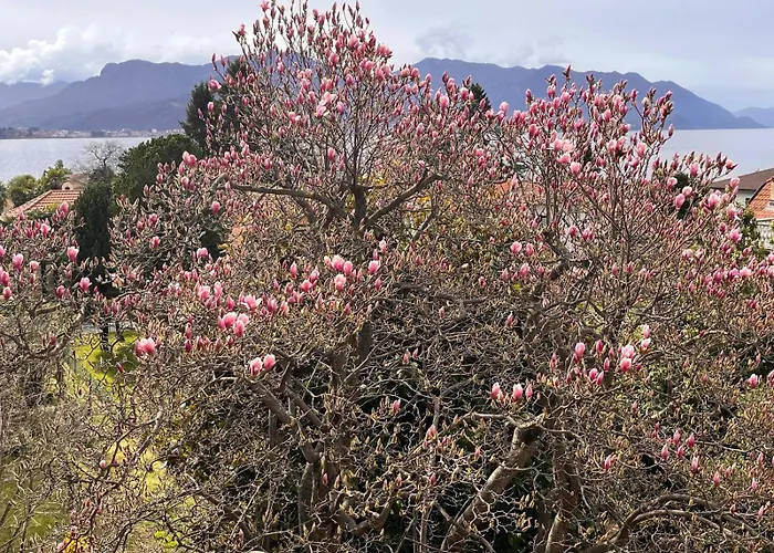 Konukevi Del Castanar 3*