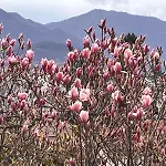 게스트하우스 Del Castanar Maccagno