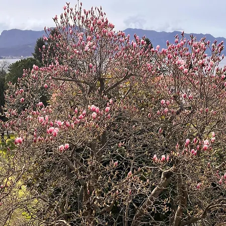 Gasthuis Del Castanar 3*