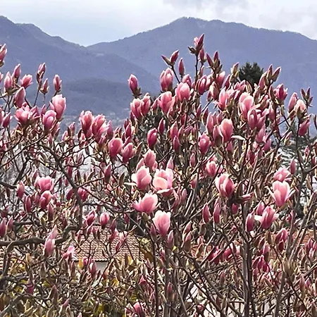 Gasthuis Del Castanar Maccagno