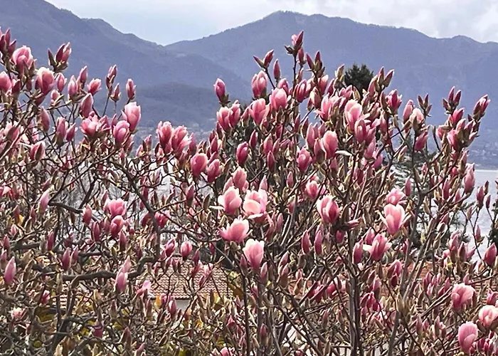 Гостевой дом Del Castanar Maccagno
